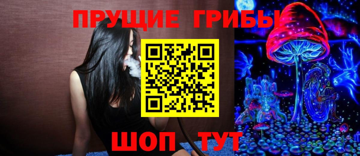 Димитровград  купить  цена  Вход с VPN  Галлюциногенные грибы ЛСД 