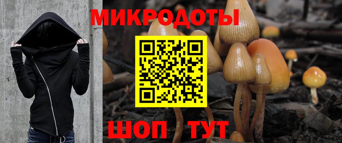 Галлюциногенные грибы MAGIC MUSHROOMS Димитровград